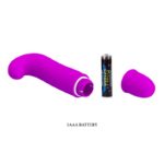 Vibrator Punctul G Pretty Love Dana