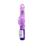 Vibrator Rabbit Butterfly Prince