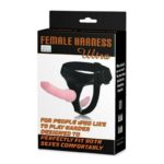 Strap On Penis Anal Double Dong
