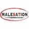 Malesation