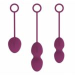 Set de bile kegel Nova Balls Exercisers Svakom violet