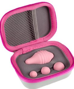 bile kegel Femintimate Pelvic Floor Rehabilitation roz