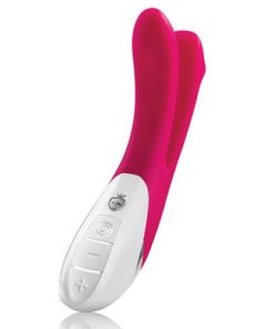 vibrator