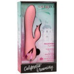 Vibrator Rabbit Pasadena Player