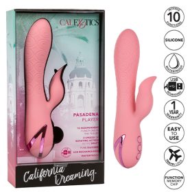 Vibrator Rabbit Pasadena Player 1