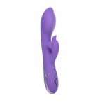 Vibrator Rabbit CalExotics