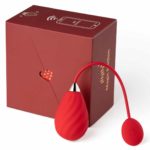 Ou Vibrator cu Aplicatie Magic Motion