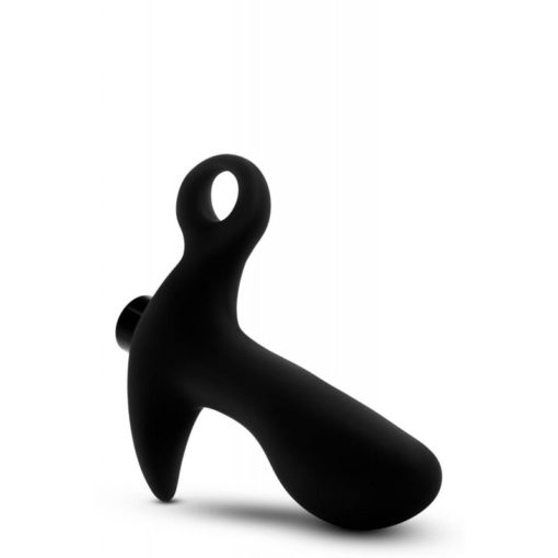 Masator pentru Prostata Anal Adventures