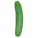 Jucarie Cucumber Orion