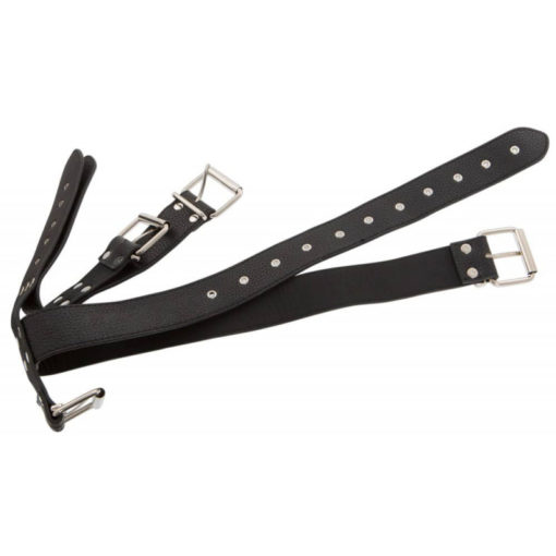 Catuse Maini si Gat Bad Kitty Restraints