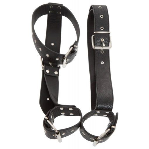 Catuse Maini si Gat Bad Kitty Restraints