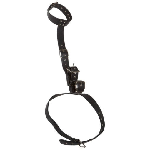 Catuse Maini si Gat Bad Kitty Restraints