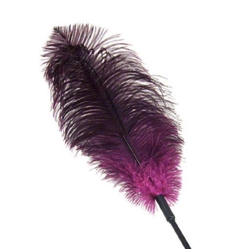 Pana de Strut Fethis You2Toys