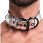Lesa Fetish BDSM Metallic Pup Collar With Leash