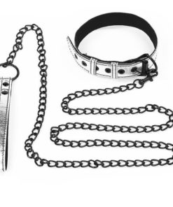 Lesa Fetish BDSM Metallic Pup Collar With Leash