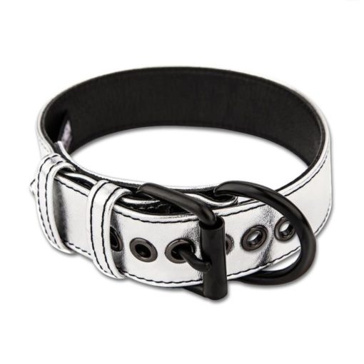 Lesa Fetish BDSM Metallic Pup Collar With Leash