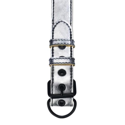 Lesa Fetish BDSM Metallic Pup Collar With Leash