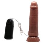 Vibrator cu Telecomanda Beautiful Maddox 18 cm