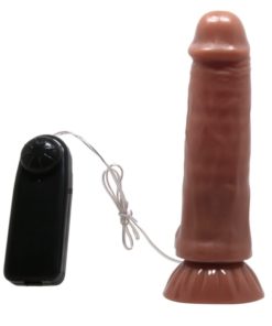 Vibrator cu Telecomanda Beautiful Maddox 18 cm