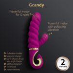 Vibrator Rabbit Gvibe - Gcandy Sweet Raspberry