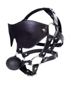 Mysterious Eye Mask Harness with Ball Gag Calus
