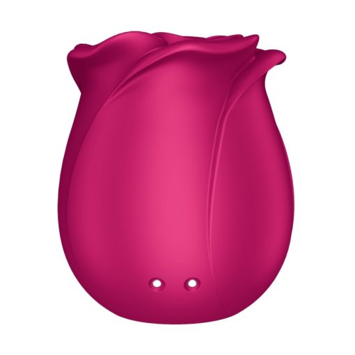 Satisfyer Pro 2 Classic Blossom