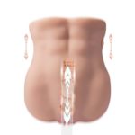 Masturbator Torso Lydia Mistress