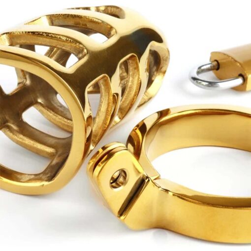 Centura de Casitate Brutal Chastity Cage