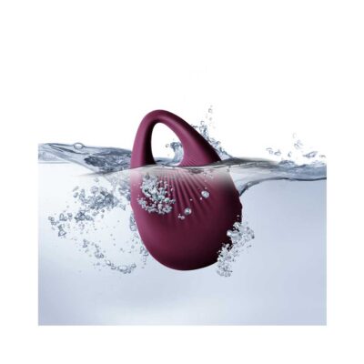 Ou Vibrator Climaximum Coax Burgundy waterproof