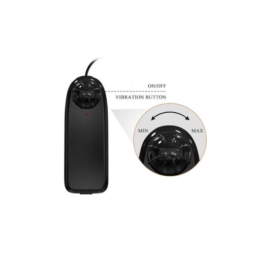 Strap On Vibrator Ultra Passionate Harness telecomanda