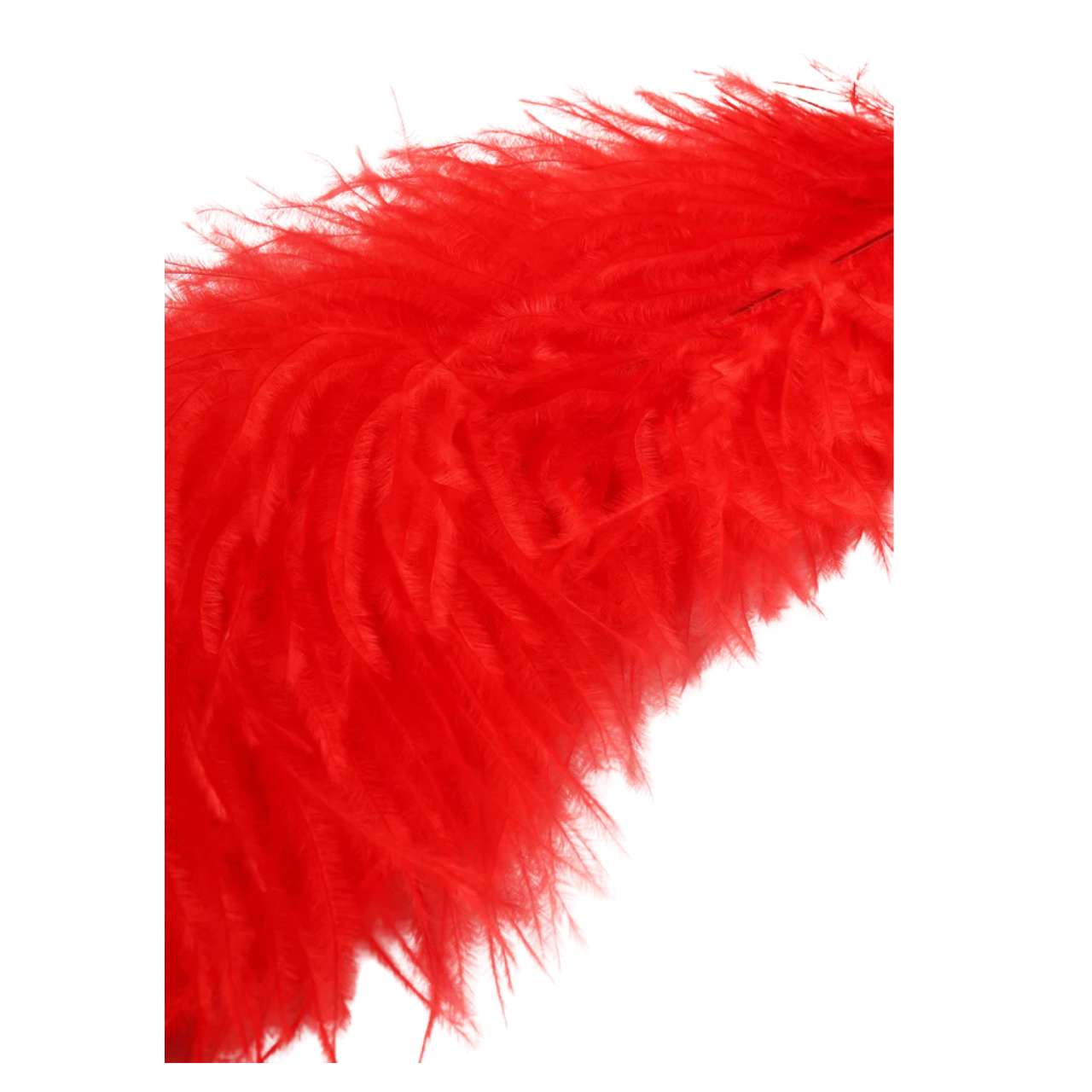 Tickler Dublu